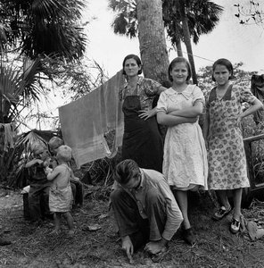 Migrant Family From Missouri Camping Out In Cane Brush. One Woman Said, We Ain't Never Lived Like Hogs Before, But We Sure Does Now. Canal Point, Florida — Marion Post Wolcott