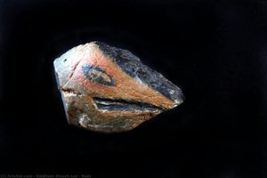 Beak — Sidliš Dinesh Lad