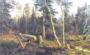 Untitled — Ivan Ivanovich Shishkin