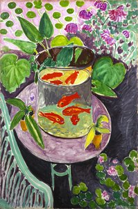 The Goldfish — Henri Matisse