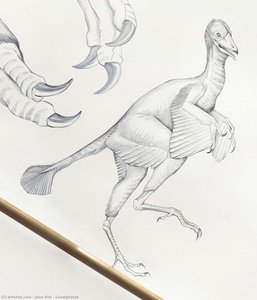 Caudipteryx — Jane Kim