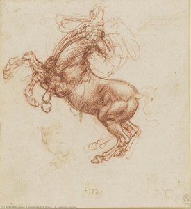 Cavallo In Piedi — Leonardo Da Vinci