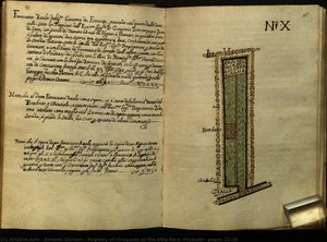 Registry Of Vineyards At The Villa Sora (frascati): Pages 25-26 — 안토니오 줄리아니