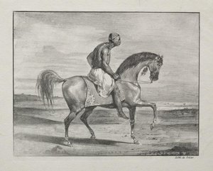 Cavallo Africano — Eugène Delacroix