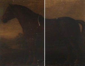 Suffolk Punch Stallion (diptych) — William Shiels