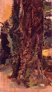 Viejo Arbol — Emilio Sala Y Frances