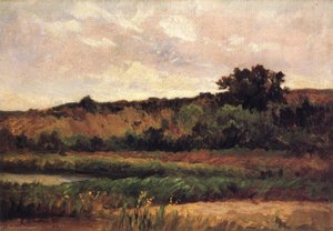 Farmer Green's Meadow — Edward Mitchell Bannister
