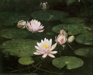 Waterlilies — Abbott Handerson Thayer