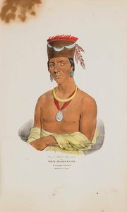 Waa Bin De Ba Or The White Headed Eagle A Chippeway Chief, From The Aboriginal Portfolio — James Otto Lewis