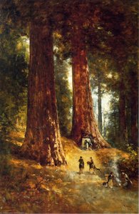 In The Redwoods — Thomas Hill
