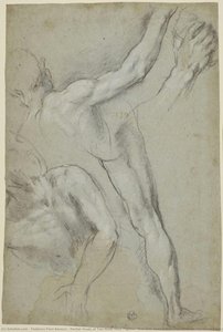 Estudio Parcial De Dos Figuras Masculinas Desnudas, Una Con El Brazo Levantado, La Otra En El Suelo Y Estudios De Pierna Y Brazo De La Primera (para El “martirio De San Vital”, Milán, Pinacoteca Di Brera) — Federico Fiori Barocci
