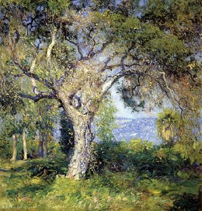 The Oak — Guy Rose