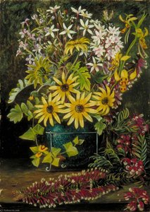 Fleurs Sauvages Du Victoria Et De La Nouvelle-galles Du Sud — Marianne North