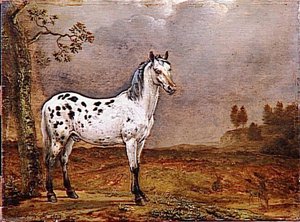 Le Cheval Pie — Paulus Potter