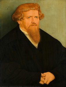 Portrait Of A Man With A Red Beard — Lucas Cranach O Jovem