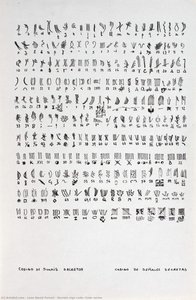 Secrets Sign Code, Code Series — León David Ferrari