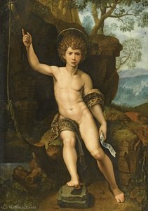 Saint John The Baptist In A Rocky Landscape — Michiel Van Coxcie