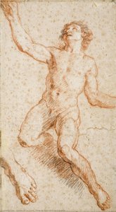 Study For Saint John The Evangelist