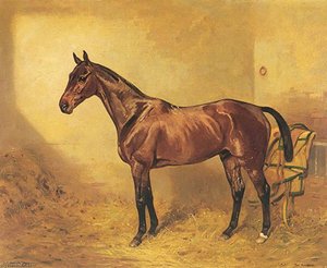 Horse Portrait, 'the Airship' — Alfred Grenfell Haigh