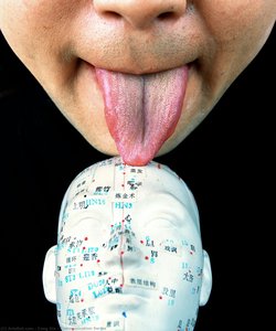 Communication Series — Cang Xin