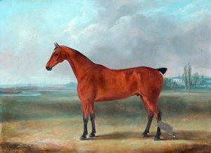 Horse — William Henry Davis
