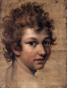 Testa Di Un Giovane — Lavinia Fontana