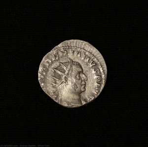 Silver Coin — რომან ოპალკა