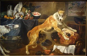 Dogfight — Paul De Vos
