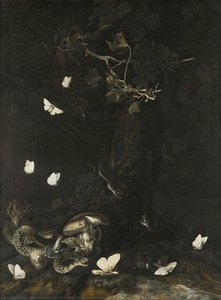 Serpents And Insects — Otto Marseus Van Schrieck