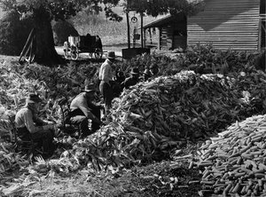 Corn Shucking At The Fred Wilkins Farm. Stem, North Carolina — Marion Post Wolcott