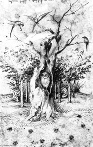 Skogens Hörande Och Fältets Synande — Hieronymus Bosch