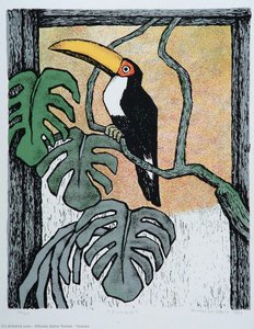 Toucan — Alfredo Zalce Torres