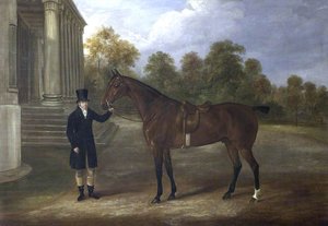 A Groom And A Bay Hunter Outside Shugborough — William Webb