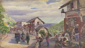 The Bazaar Musoori, 8th May 1878 — Marianne North