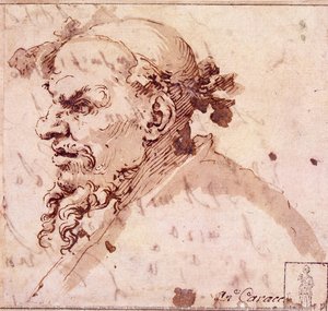 Head Of An Old Man Surrounded By A Vine Shoot (dionysus?) — Jusepe De Ribera