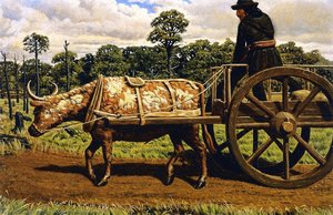 Ox With Red River Card — William George Richardson Hind