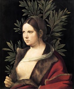 Porträt Einer Jungen Frau (laura) — Giorgione