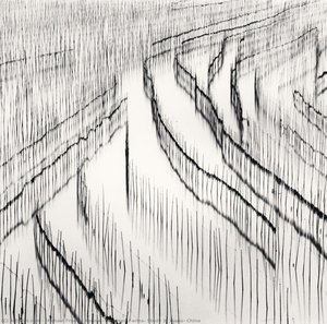 Seaweed Farms, Study 3, Xiapu, China — Michael Francis Kenna