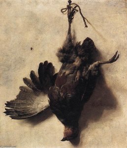 Dead Partridge — Jan Baptist Weenix