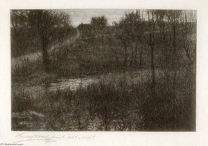 The Evening Star (motif Found In The Catskills) — Henry Wolf