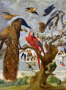 The Mockery Of The Owl — Jan Van Kessel The Elder