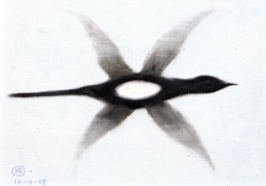 Magpie In Flight — Hans Emmenegger