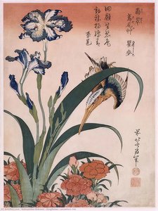 Eisvogel, Nelke, Schwertlilie — Katsushika Hokusai