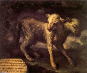 Two-headed Lamb — Bartolomeo Bimbi