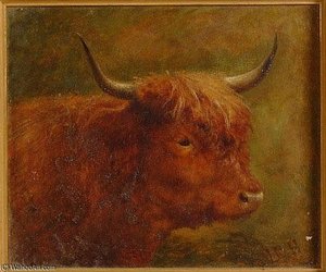 Head And Shoulders Portrait Of A Highland Cow — Louis Bosworth Hurt