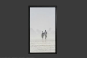 Ancestors\n\nancestors — Bill Viola