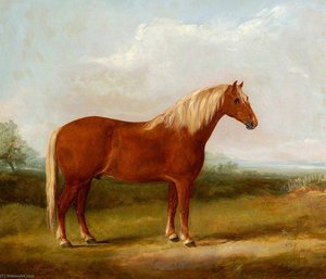 Fairhead Boxer 405 — William Henry Davis