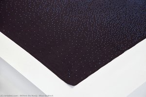 Blue To Black — Willem De Rooij