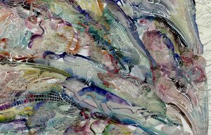 Herring Transforms Into A Human Face With Glowing Eyes (details) — Wu Jian’an