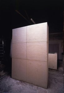 False Door — Rachel Whiteread